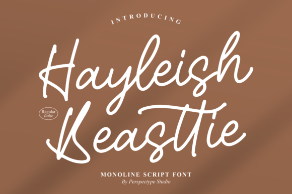 Hayleish Beasttie: A Dazzling Script Font for Crafters and Product Designers